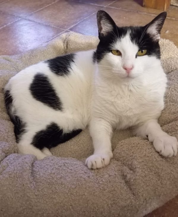 2f135807-ba6c-4c84-bfd6-fbdd61d8dd47