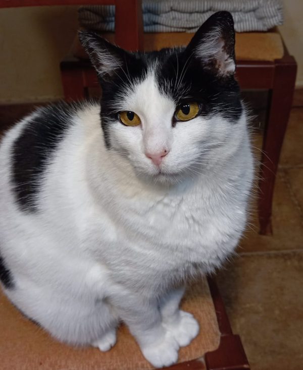 81120649-6f29-4fdd-ae1c-345017279f51